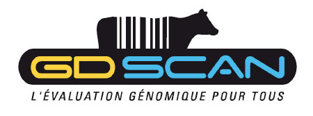 Logo GD Scan