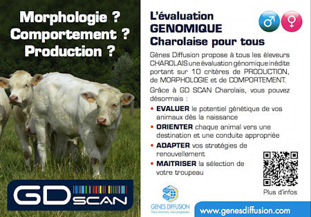 Evaluation génomique / Charolais