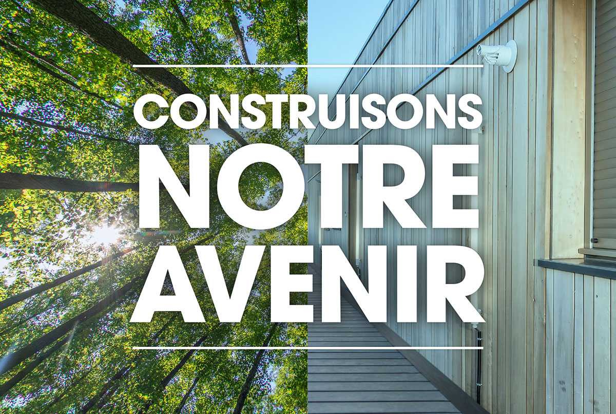 Avivio, forêts et bois de construction