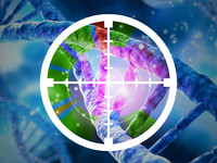 ADN