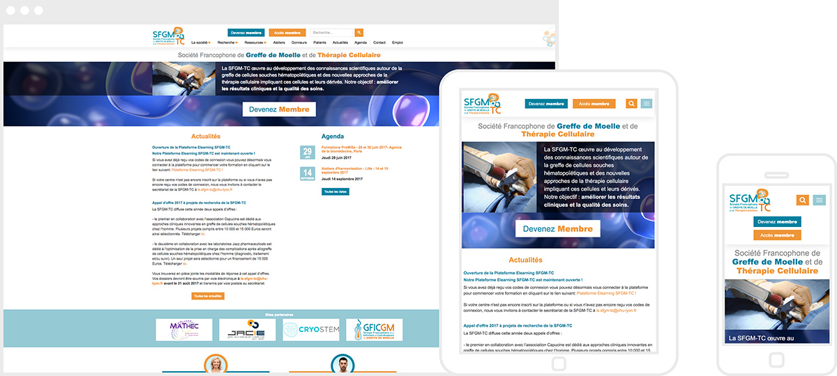 Site web responsive de la SFGM-TC