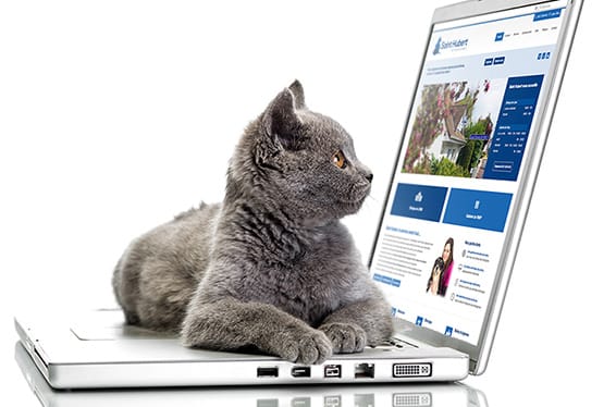 Chat couché sur le clavierr un ordinateur portable